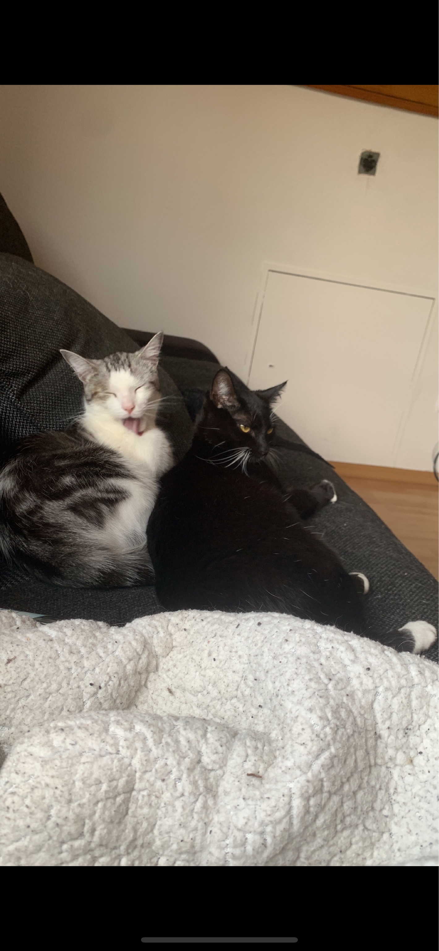 Miro und Isha_IMG_0431.png Miro und Isha_IMG_0431.png